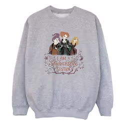 Disney - Sweat HOCUS POCUS SANDERSON SISTER - Fille (Gris chiné)