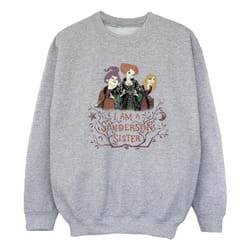 Disney - Sweat HOCUS POCUS SANDERSON SISTER - Fille (Gris chiné)