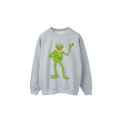 Disney - Sweat THE MUPPETS - Garçon (Gris chiné)