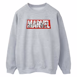 Marvel - Sweat AVENGERS - Femme (Gris chiné)