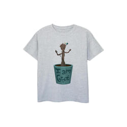 Marvel - T-shirt GUARDIANS OF THE GALAXY - Garçon (Gris chiné)