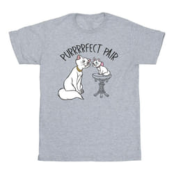 Disney - T-shirt THE ARISTOCATS PURRFECT PAIR - Homme (Gris chiné)