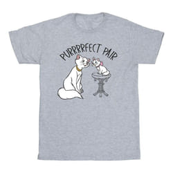 Disney - T-shirt THE ARISTOCATS PURRFECT PAIR - Garçon (Gris chiné)