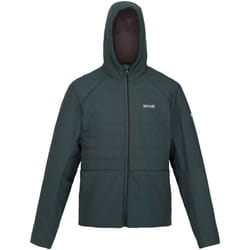 Regatta - Veste DAXFORD - Homme (Sarcelle sombre)