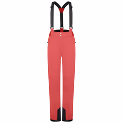 Dare 2B - Pantalon de ski EFFUSED - Femme (Terracotta)
