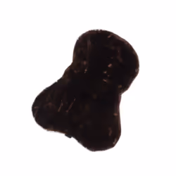 Coussin de selle pour cheval LeMieux