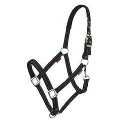 Licol pour cheval cuir LeMieux Essential Yard