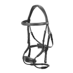Bridons équitation pour cheval LeMieux Kudos Clear Arc