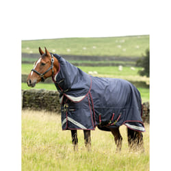 Couverture d'extérieur pour cheval LeMieux Kudos Thermo Layer 300g
