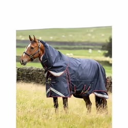 Couverture d'extérieur pour cheval LeMieux Kudos Thermo Layer 300g