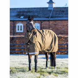 Couverture d'extérieur pour cheval imperméable avec couvre-cou LeMieux Arika Ripstop 200g