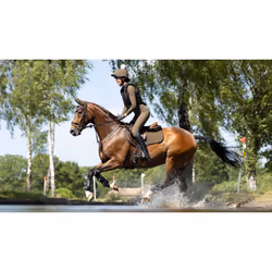 Tapis de CSO étroit en daim LeMieux