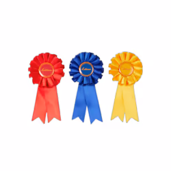 Lot de rosettes pour peluche LeMieux Toy Pony