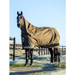 Couverture d'extérieur pour cheval imperméable avec couvre-cou LeMieux Arika Ripstop 100g