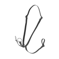 Martingale à anneaux pour Hobby Horse LeMieux