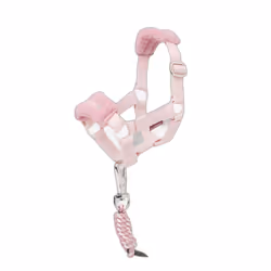 Licol et longe pour peluche LeMieux Toy Pony Vogue