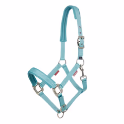 Licol pour cheval LeMieux Logo