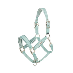 Licol pour cheval LeMieux Versailles