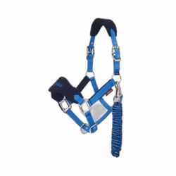 Ensemble licol et longe pour cheval LeMieux Vogue
