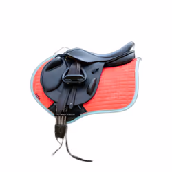 Tapis de CSO LeMieux Harlow