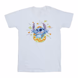 Disney - T-shirt - Garçon (Blanc)