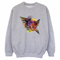 Marvel - Sweat GUARDIANS OF THE GALAXY - Garçon (Gris chiné)