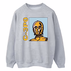 Star Wars - Sweat - Homme (Gris chiné)