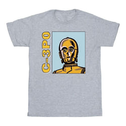 Star Wars - T-shirt - Garçon (Gris chiné)