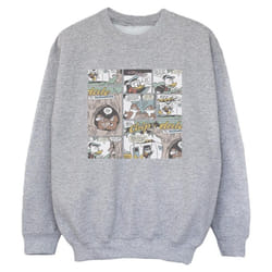Disney - Sweat CHIP 'N DALE - Garçon (Gris chiné)