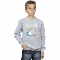 Disney - Sweat ALICE IN WONDERLAND FOLLOW THE RABBIT - Garçon (Gris chiné)