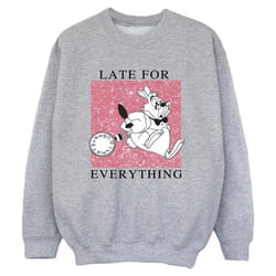 Disney - Sweat ALICE IN WONDERLAND - Garçon (Gris chiné)