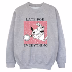 Disney - Sweat ALICE IN WONDERLAND - Garçon (Gris chiné)
