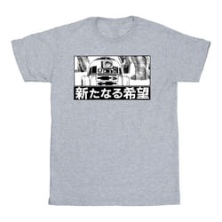 Star Wars - T-shirt - Garçon (Gris chiné)