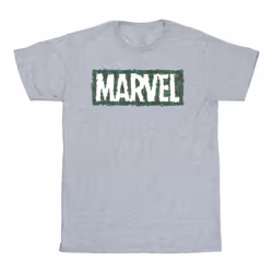 Marvel - T-shirt - Homme (Gris chiné)