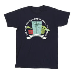 Star Wars - T-shirt THE MANDALORIAN GALAXY'S GREETINGS - Homme (Bleu marine)