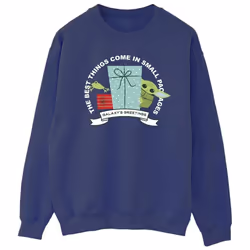 Star Wars - Sweat THE MANDALORIAN GALAXY'S GREETINGS - Homme (Bleu marine)