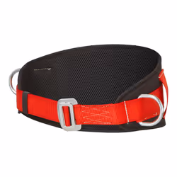 Portwest - Ceinture - Taille unique (Noir)