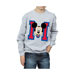Disney - Sweat - Garçon (Gris chiné)