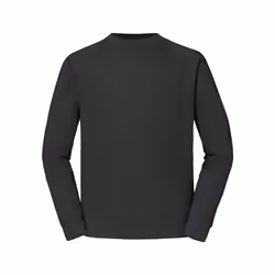 Fruit of the Loom - Sweat CLASSIC - Adulte (Gris)