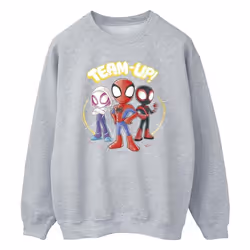 Marvel - Sweat SPIDEY AND HIS AMAZING FRIENDS - Homme (Gris chiné)
