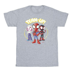 Marvel - T-shirt SPIDEY AND HIS AMAZING FRIENDS - Garçon (Gris chiné)