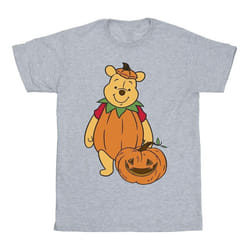 Winnie the Pooh - T-shirt - Homme (Gris)