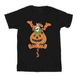 Winnie the Pooh - T-shirt - Homme (Noir)