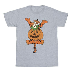 Winnie the Pooh - T-shirt - Homme (Gris)
