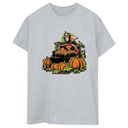 Disney - T-shirt - Femme (Gris)