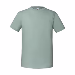 Fruit of the Loom - T-shirt ICONIC PREMIUM - Homme (Vert de gris)