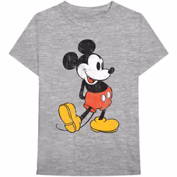 Disney - T-shirt - Adulte (Gris)