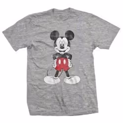 Disney - T-shirt - Adulte (Gris)