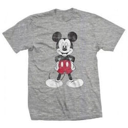 Disney - T-shirt - Adulte (Gris)