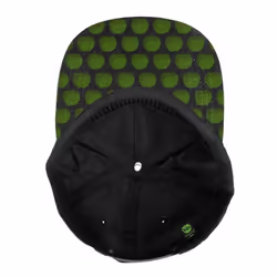 The Beatles - Casquette ajustable - Adulte (Noir / Vert)
